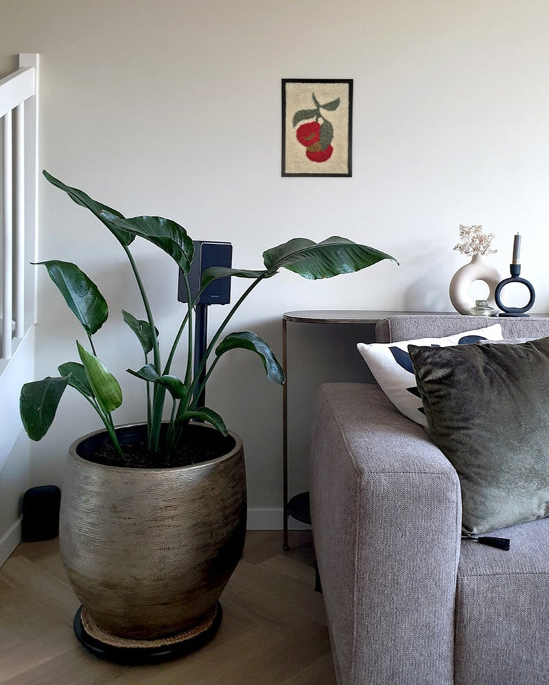 Betuft | Sinaasappel in lijst | Small